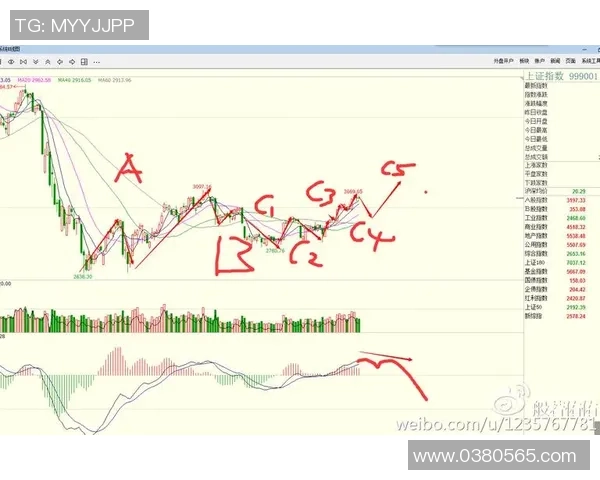 杭州攀岩队防守策略深度分析与战术解读